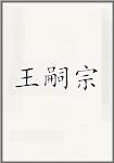 王嗣宗