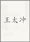 王太冲