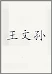 王文孙