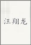 汪翔龙