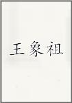 王象祖