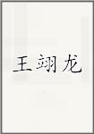 王翊龙
