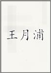 王月浦