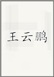 王云鹏