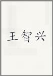 王智兴