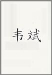 韦斌