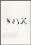 韦鹏翼