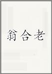 翁合老