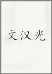 文汉光