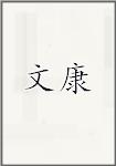 文康