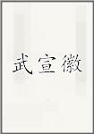 武宣徽