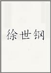 徐世钢