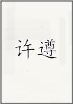 许遵