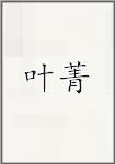 叶菁