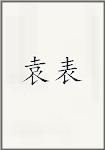 袁表