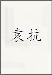 袁抗