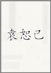 袁恕己