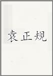 袁正规