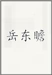 岳东瞻