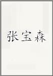 张宝森