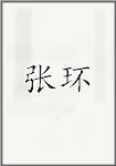 张环