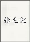 张毛健