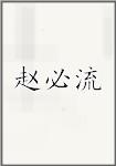 赵必流
