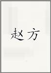赵方