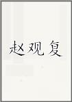 赵观复