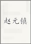 赵元镇