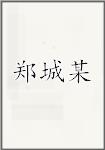 郑城某