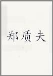 郑质夫