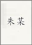 朱某