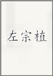 左宗植
